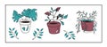 A set of cute Doodle pictures of flower pots. Potted rose, monstera, twigs with leaves. Isolated images on a white background.